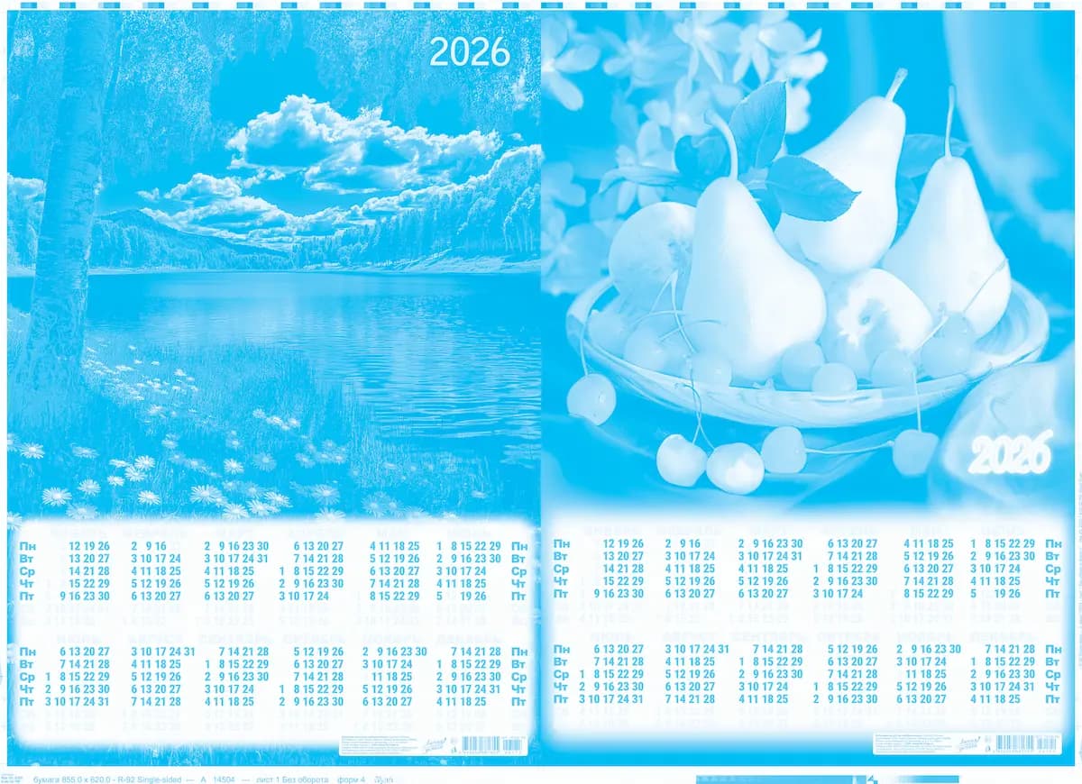 Макет полиграфического изделия в сепарации цвета cyan