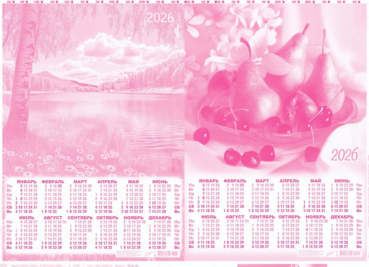 Макет полиграфического изделия в сепарации цвета magenta