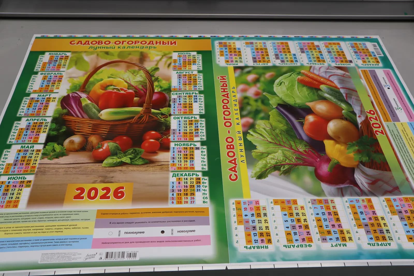 Образец офсетной печати