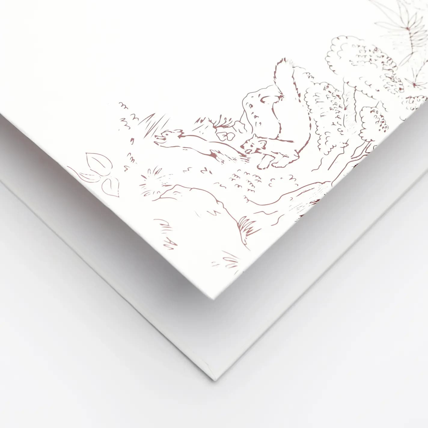 Изготовление папок в типографии