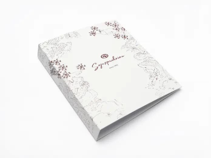 Изготовление папок в типографии