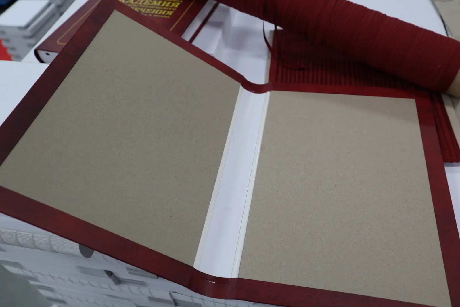 Пример изготовленной крышки (обложки) для книги