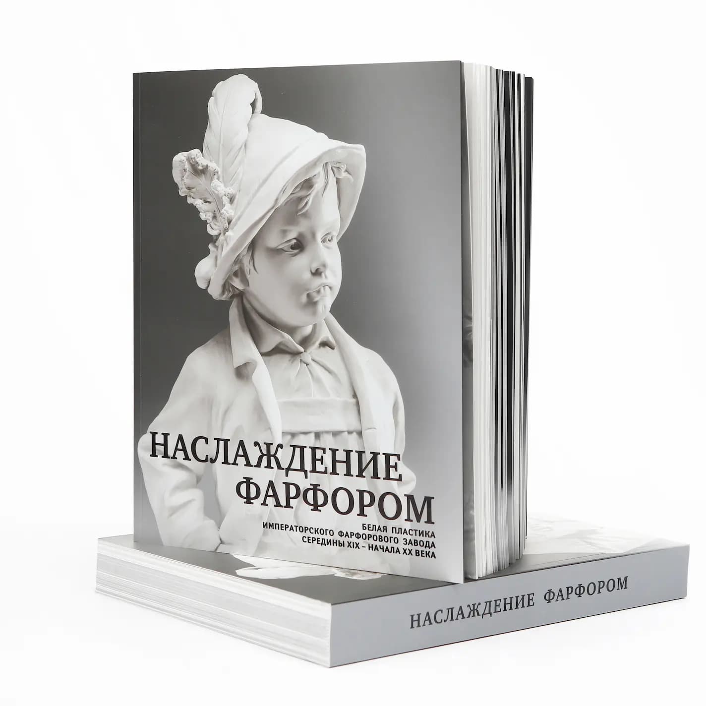 Образец книги Наслаждение фарфором