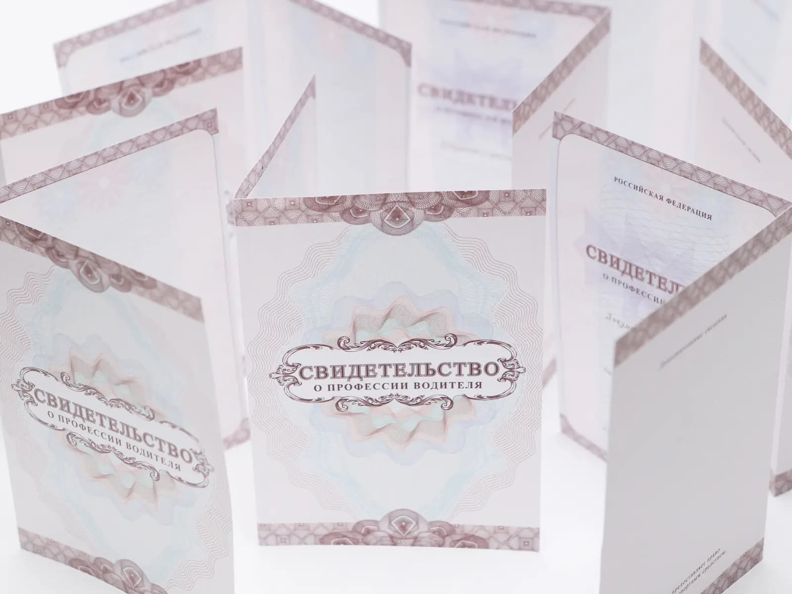 Образец свидетельства с мелкими деталями. Офсетная печать.