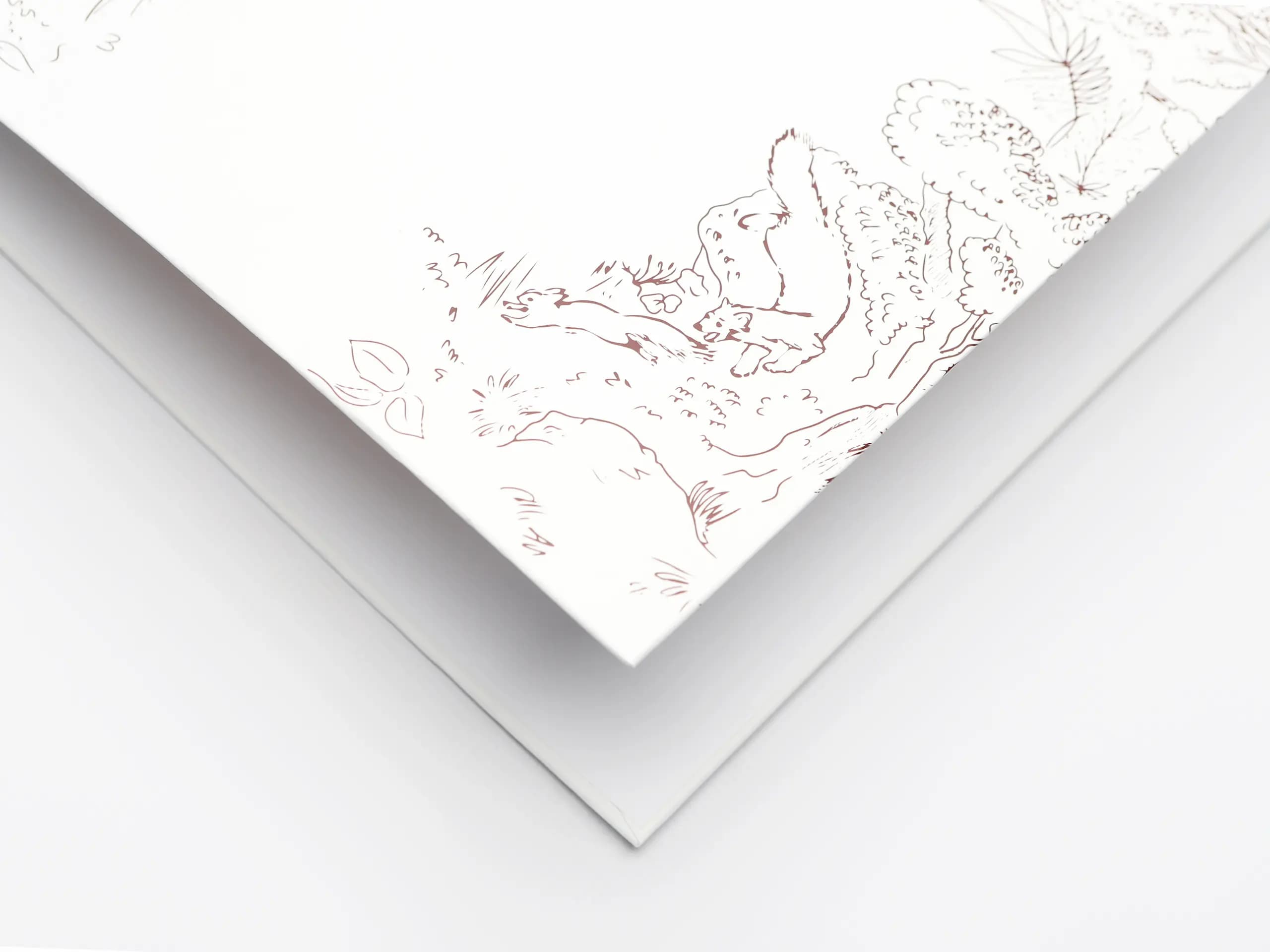 Изготовление папок в типографии