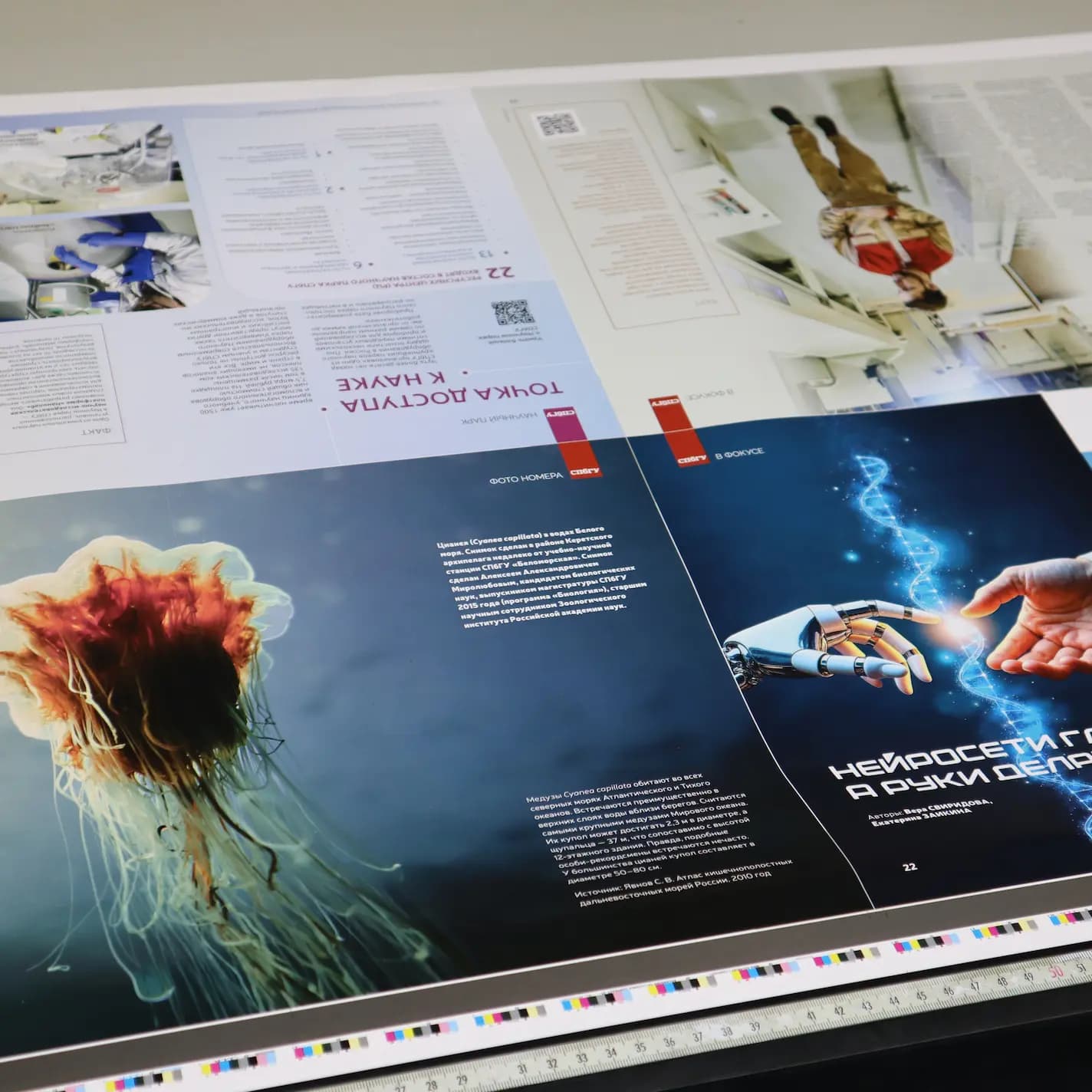 Образец офсетной цветопробы